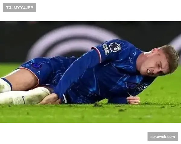 马雷斯卡:战利兹联所有环节出错,帕尔默回归是唯一利好 马雷斯卡:战利兹联所有环节出错,帕尔默回归是唯一利好