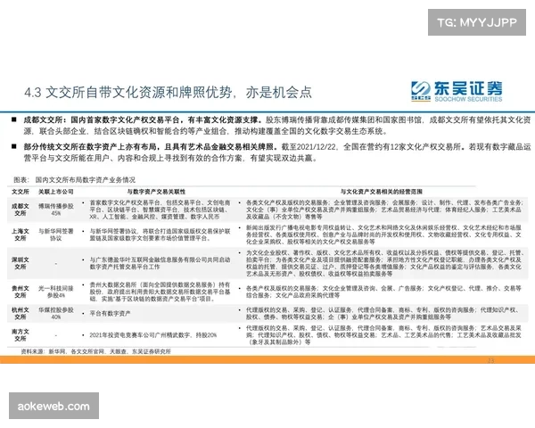 体育数字资产合规审查流程严格化,防范法律风险 体育数字资产合规审查流程严格化,防范法律风险