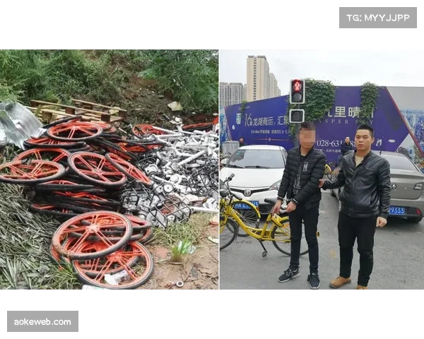 西班牙警方打击自行车盗窃团伙,追回百余辆高端山地自行车 西班牙警方打击自行车盗窃团伙,追回百余辆高端山地自行车